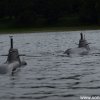 Koeln2014_1 (56)